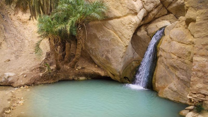 JOUR 7 : DJERBA – GABES – EL JEM - HAMMAMET