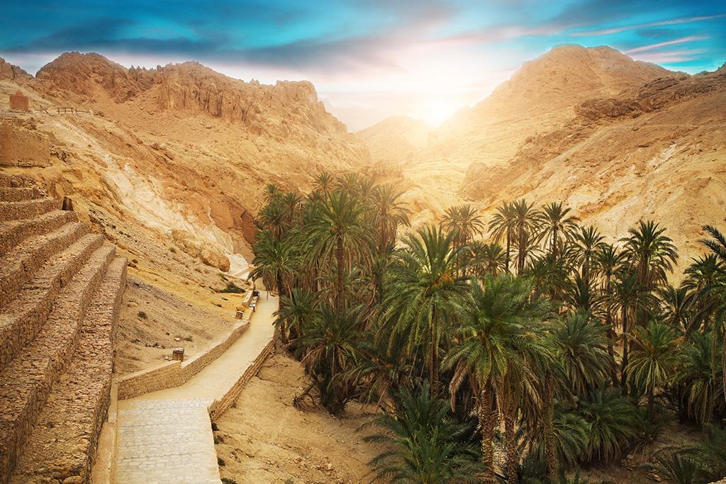 Jour 8 : Sousse – France