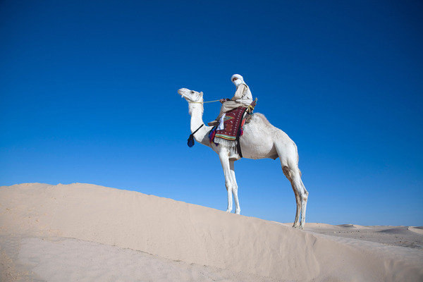 Jour 7 : HAMMAMET / NABEUL / HAMMAMET (environ 30 km)