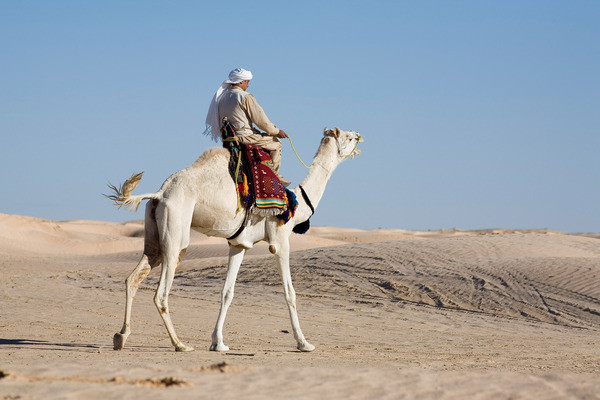 5e JOUR : TOZEUR - TAMAZRET - MATMATA