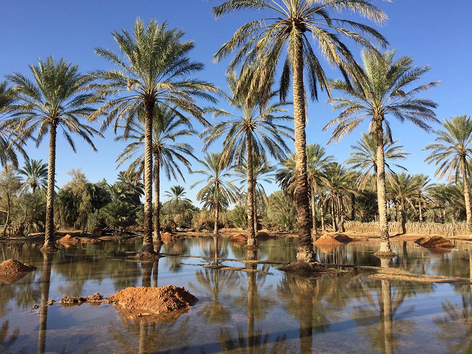 Jour 3 : Excursion en 4x4 – Chebika, Ong Jmel & Star Wars