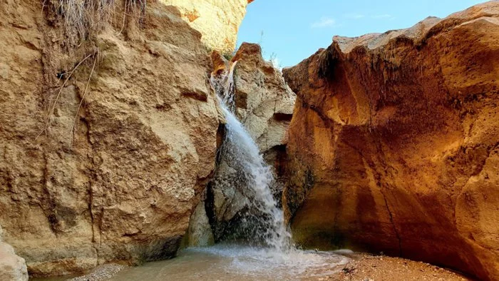 Circuit Sud Douz Tozeur